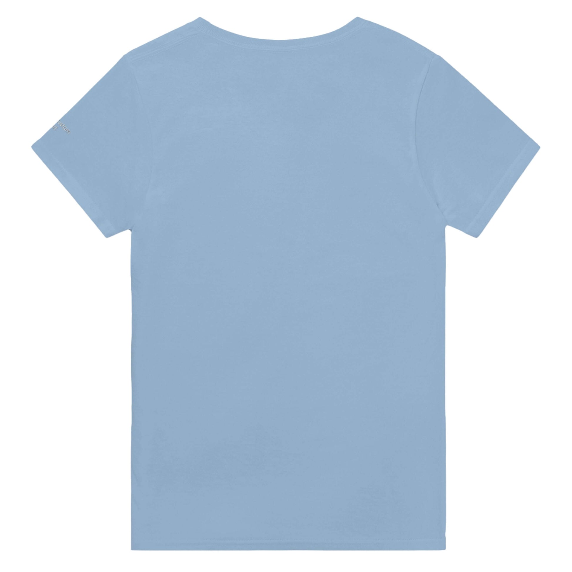 Back view of a Personalized Heavyweight Unisex Crewneck T-Shirt in light blue color.