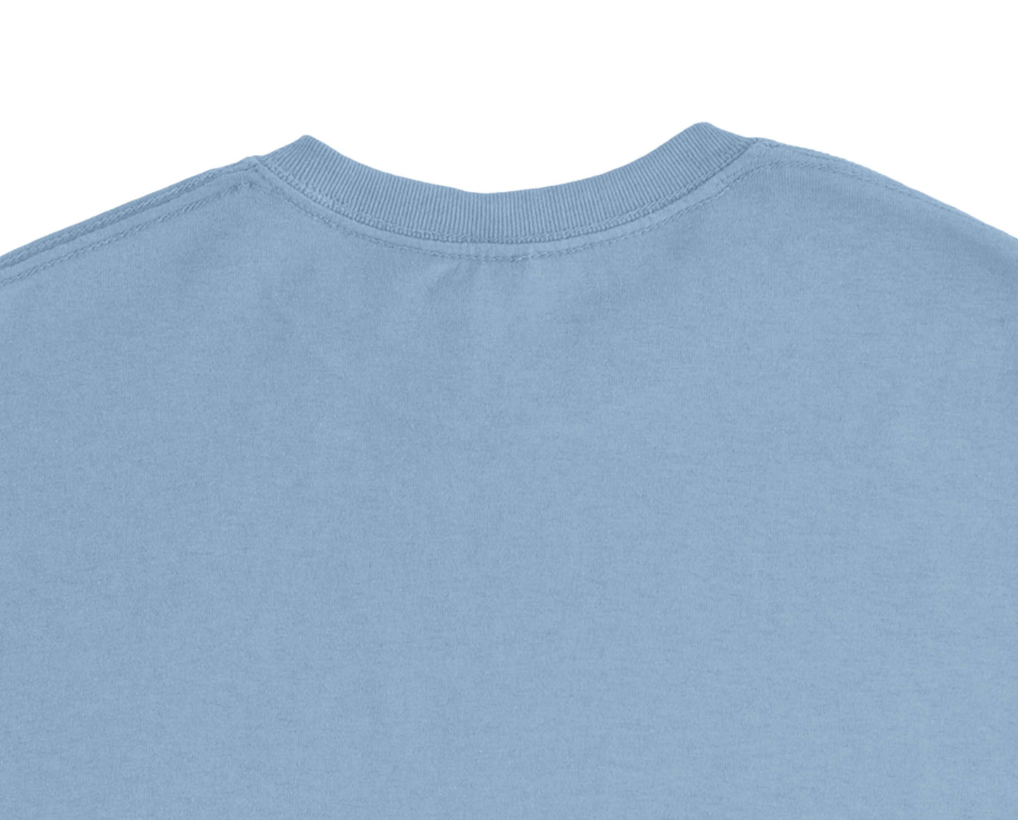 Back view of a blue Personalized Heavyweight Unisex Crewneck T-Shirt - Smiling Tooth Embroidery (Gildan5000).